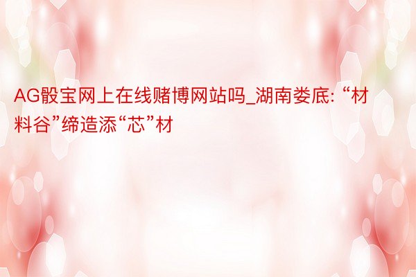 AG骰宝网上在线赌博网站吗_湖南娄底: “材料谷”缔造添“芯”材