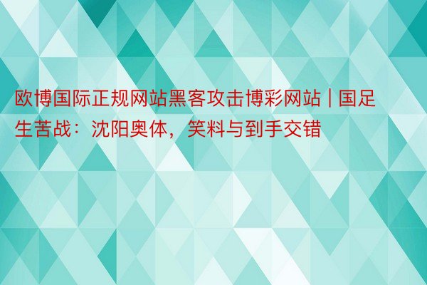 欧博国际正规网站黑客攻击博彩网站 | 国足生苦战：沈阳奥体，笑料与到手交错