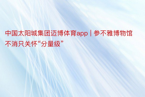 中国太阳城集团迈博体育app | 参不雅博物馆不消只关怀“分量级”